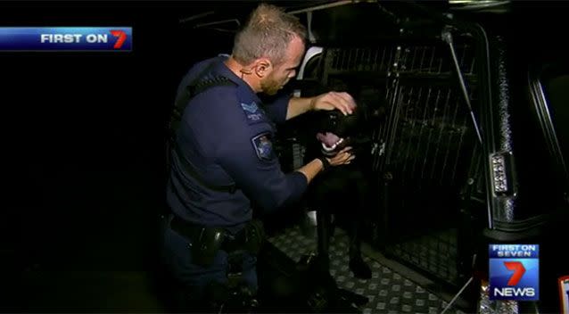 The dog squad members live with the canine partners. Source: 7 News