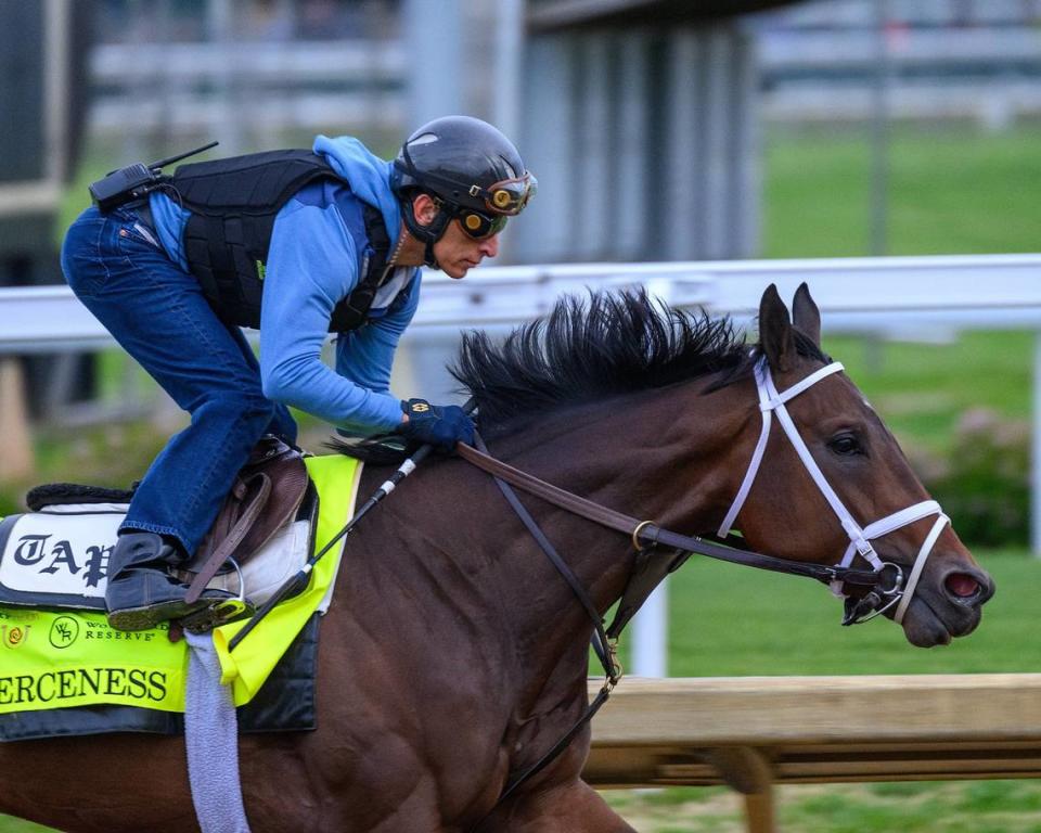 Fierceness was established as the morning-line odds favorite at 5-2. Anne M. Eberhardt/BloodHorse