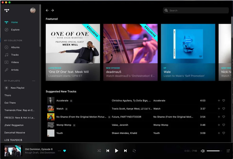 livello: infimo. Tidal-desktop-app-2018