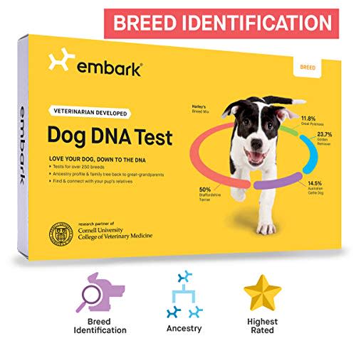 Embark Breed Identification