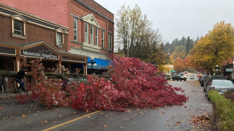 Thousands without power as windstorm batters B.C.