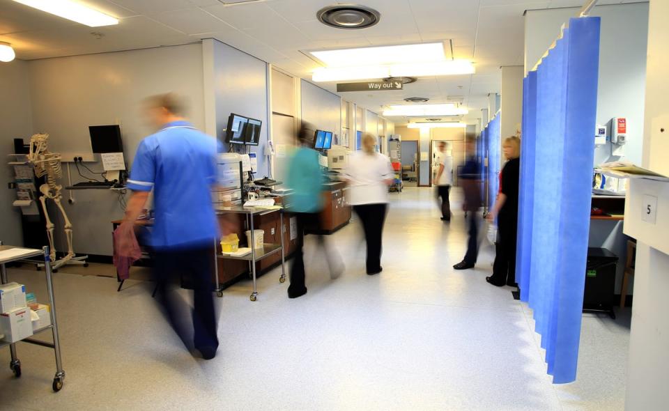 Prime minister Rishi Sunak hopes the new plan represents one of the fastest improvements in NHS emergency care in its history  (PA)