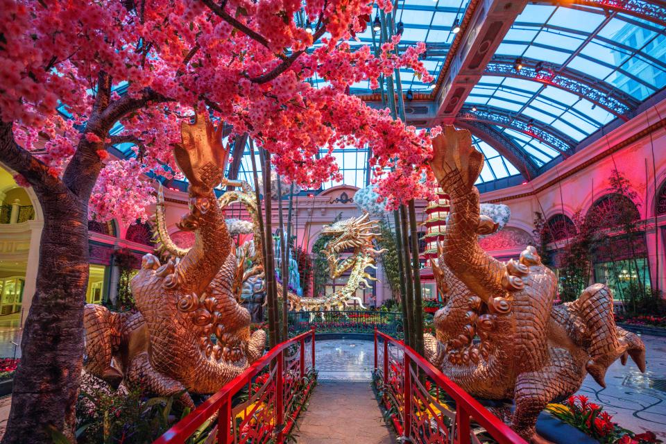 “Infinite Prosperity: The Year of the Dragon" will be on display through March 2 at Bellagio’s Conservatory & Botanical Gardens.