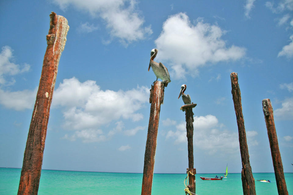 <p>“Es una de las playas más hermosas del Caribe”, reza el comentario de otra usuaria de TripAdvisor. Su arena blanca y sus aguas cristalinas te conquistarán. (Foto: Flickr / <a rel="nofollow noopener" href="https://www.flickr.com/photos/bortabra/3976847905/in/photolist-UF33oY-5pZhjx-5pZhTB-9b2zi1-74uiaf-yv5CZi-5AMNir-dG366M-6T6NUd-6mRije-6mRfbn-c4fRej-74qntH-5q4AG1-kTpqY6-kTqmM9-5pZhNk-74qokc-6T2MdD-5q4BiW-9rY1ZV-5ARNLu-7PkrHJ-9rY2ei-5pZgEV-4u6hf2" target="_blank" data-ylk="slk:bortabra;elm:context_link;itc:0;sec:content-canvas" class="link ">bortabra</a>). </p>