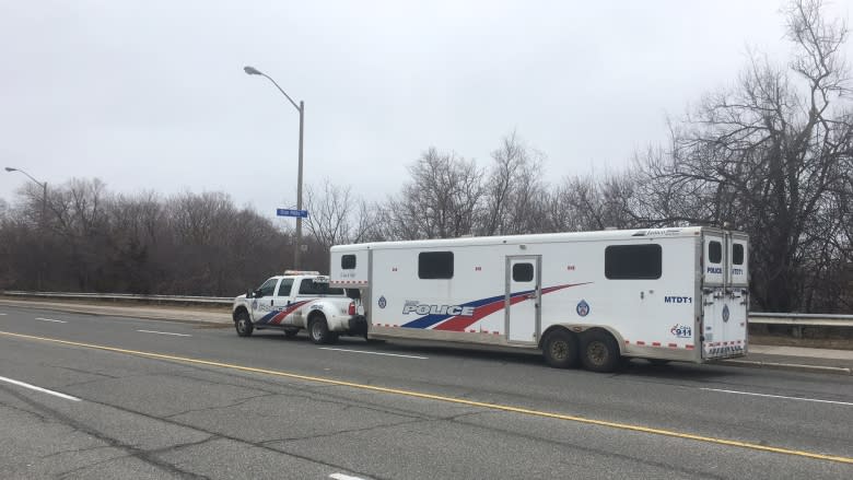 Man, 77, found dead in Toronto in woods 1 day after being reported missing