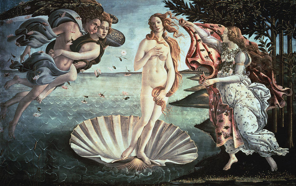 The painting was likely commissioned by a member of that infamous Medici family. Orange trees, like the ones on the right of The Birth of Venus, are an emblem of the family due to the similarity between 