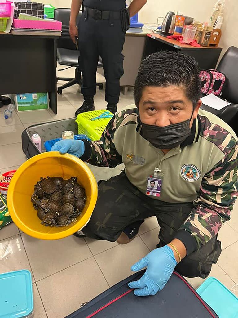 This handout photo taken on June 27, 2022 and released on June 28 by Thailand's Department of National Parks, Wildlife and Plant Conservation shows an official with turtles rescued after being found in a passenger's luggage at Suvarnabhumi International Airport in Bangkok. - Two Indian women attempting to smuggle out more than 100 live animals -- including armadillos, porcupines, and snakes -- have been detained, Thai wildlife protection officers said June 28. (Photo by Handout / Thailand's Department of National Parks, Wildlife and Plant Conservation (DNP) / AFP) / RESTRICTED TO EDITORIAL USE - MANDATORY CREDIT "AFP PHOTO / Thailand's Department of National Parks, Wildlife and Plant Conservation" - NO MARKETING NO ADVERTISING CAMPAIGNS - DISTRIBUTED AS A SERVICE TO CLIENTS