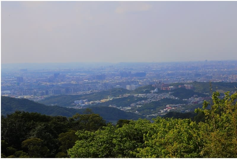 桃園｜大棟山405高地