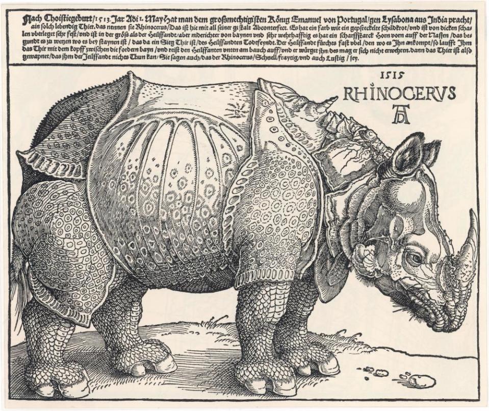 Rhinocerus, Albrecht Dürer, 1515