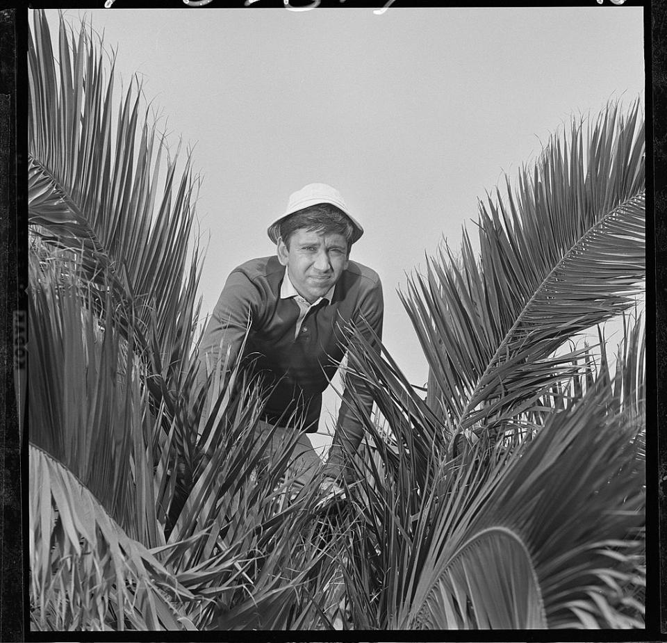 bob squatting behind some large leaves