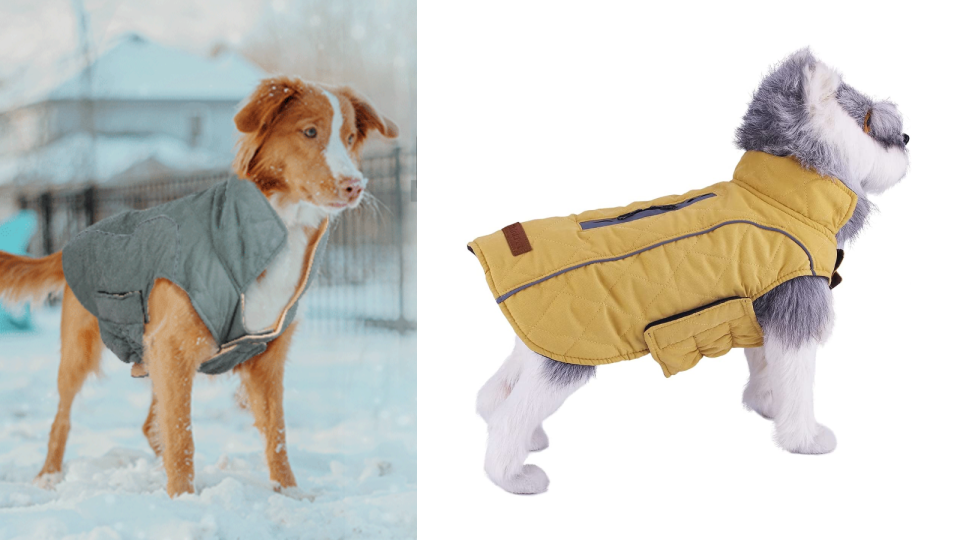 ThinkPet Cold Weather Coat.