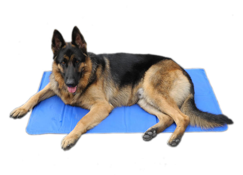 Go Pet Club Pet Cooling Gel Pad. (Photo: Walmart)