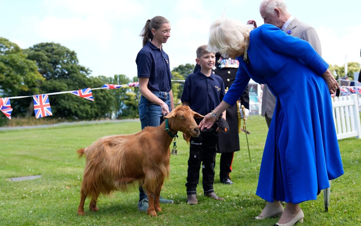 The Queen said hello to Summerville Tamsin who wore a new engraved brass bell around her neck