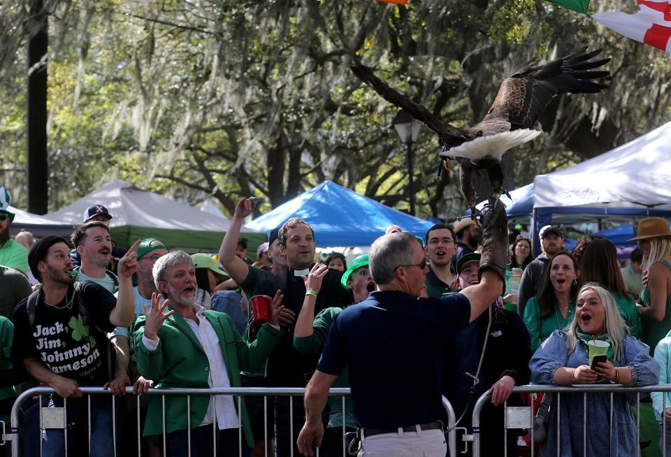 Parade goers cheer as Georgia Southern mascot Freedom stops by Lafayette Square on Friday March 17, 2023 during the annual Savannah St. Patrick's Day Parade.