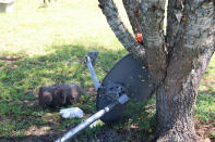 Bullet holes line the fallen satellite dish that officials say Nicholas Skylar Lucas used as a target on Thursday, Sept. 1, in Gaffney, S.C. A South Carolina family is seeking justice for a woman killed by her neighbor who was intoxicated and making target practice in his backyard. Lucas is accused of murder in the shooting death of Kesha Luwan Lucille Tate after crime scene technicians debunked his claim that the shots ricocheted off his target. The local sheriff's office says the only way she could have been struck, is if the shooter turned in her direction and intentionally fired. But the family says a guilty conviction would not be enough to avenge her death. They're seeking a change in the law that would make it illegal to practice firing guns in a residential neighborhood. (AP Photo/James Pollard)