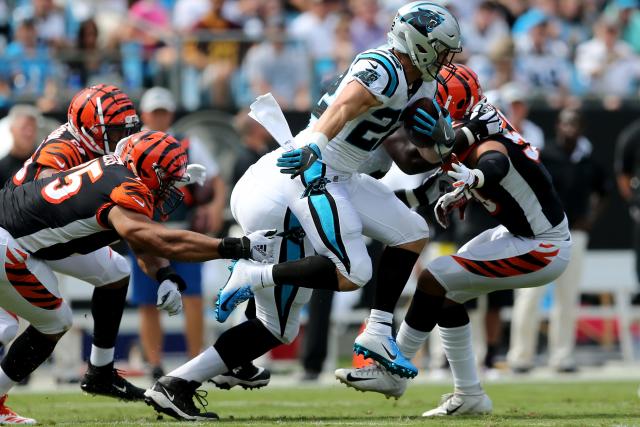 The Faithful Take Over Bank of America Stadium for 49ers vs. Panthers