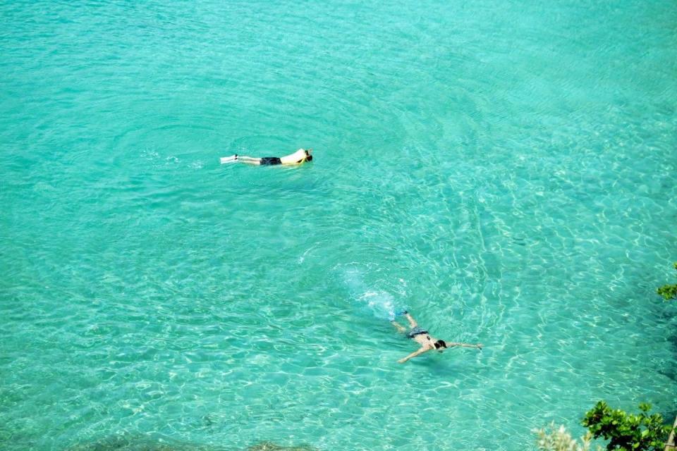 清澈的海水最適合潛水！