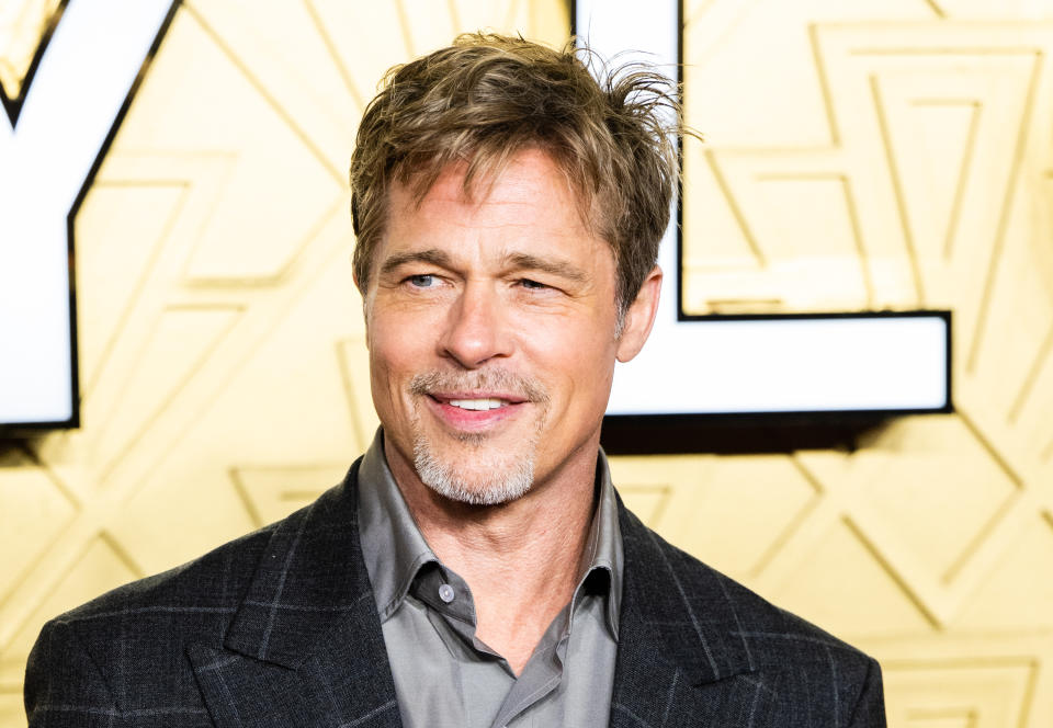 Brad Pitt and Girlfriend Ines de Ramon Are ‘Discussing Having a Baby’: ‘Truly In Love’