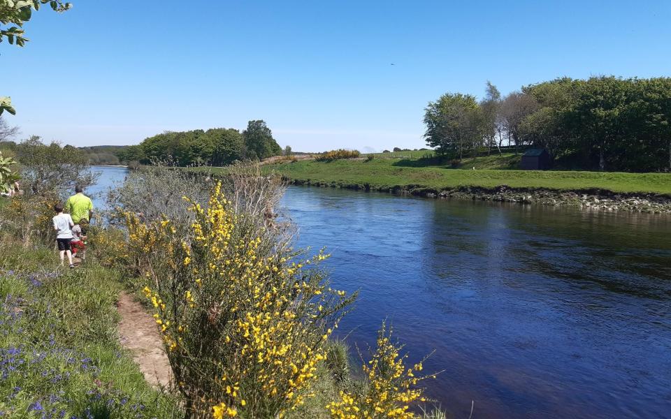 Exploring the banks of the River Dee - Janice Hopper