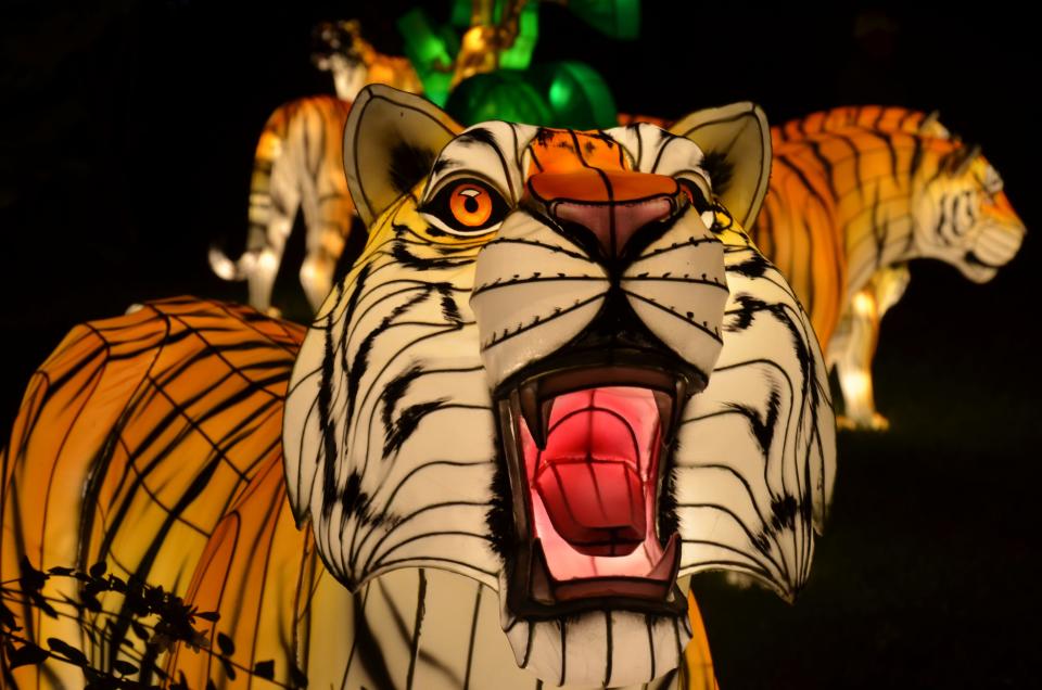 Beautiful animal lanterns are part of the "Holiday LIghts" display at the Bronx Zoo.