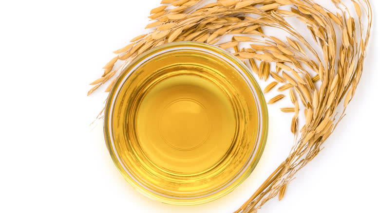 Rice bran oil and plant