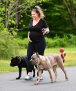 <p>Pregnant Kailyn Lowry walks her dogs near her Delaware home on Thursday.</p>