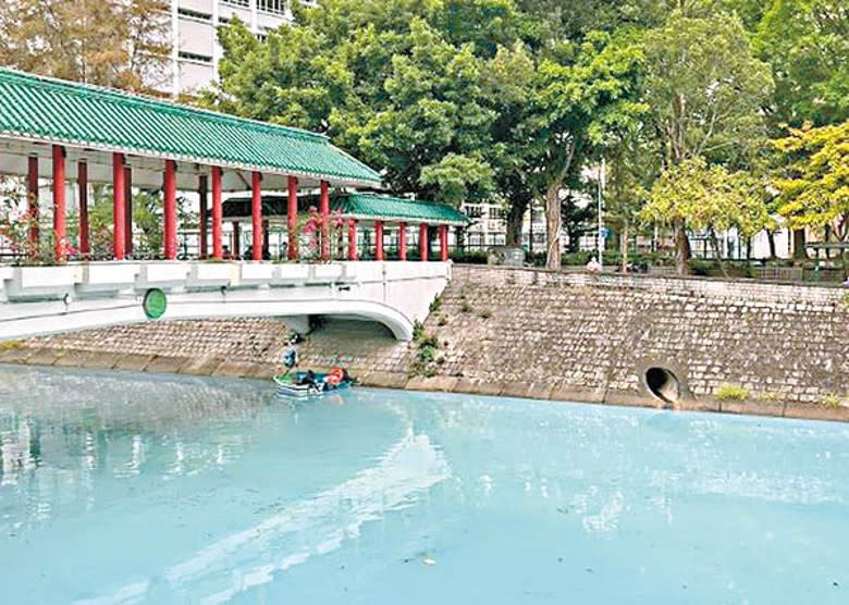 大埔林村河昨日疑受污染，下游河水呈奶藍色。（讀者提供）