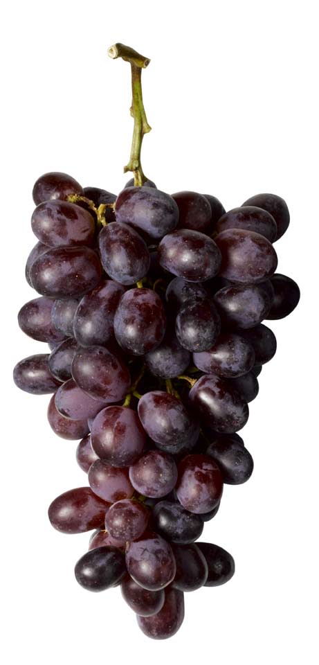 For: Little Age Lines, Try: GRAPES