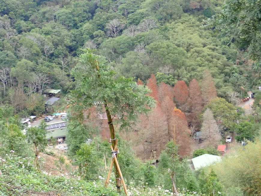 新竹十二寮登山步道