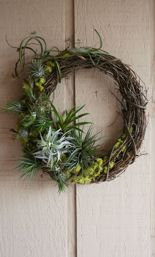 <p>Air plants are the new flowers—at least, that's what this unique DIY wreath may lead you to believe. It's fun, it's different, and it's beautiful, earning it a spot on the list.</p><p><a class="link " href="https://www.amazon.com/Classic-Tillandsia-Air-Plant-Assortment/dp/B010GIQO8W/ref=sr_1_2_sspa?tag=syn-yahoo-20&ascsubtag=%5Bartid%7C10057.g.3261%5Bsrc%7Cyahoo-us" rel="nofollow noopener" target="_blank" data-ylk="slk:Shop Now;elm:context_link;itc:0;sec:content-canvas">Shop Now</a></p>