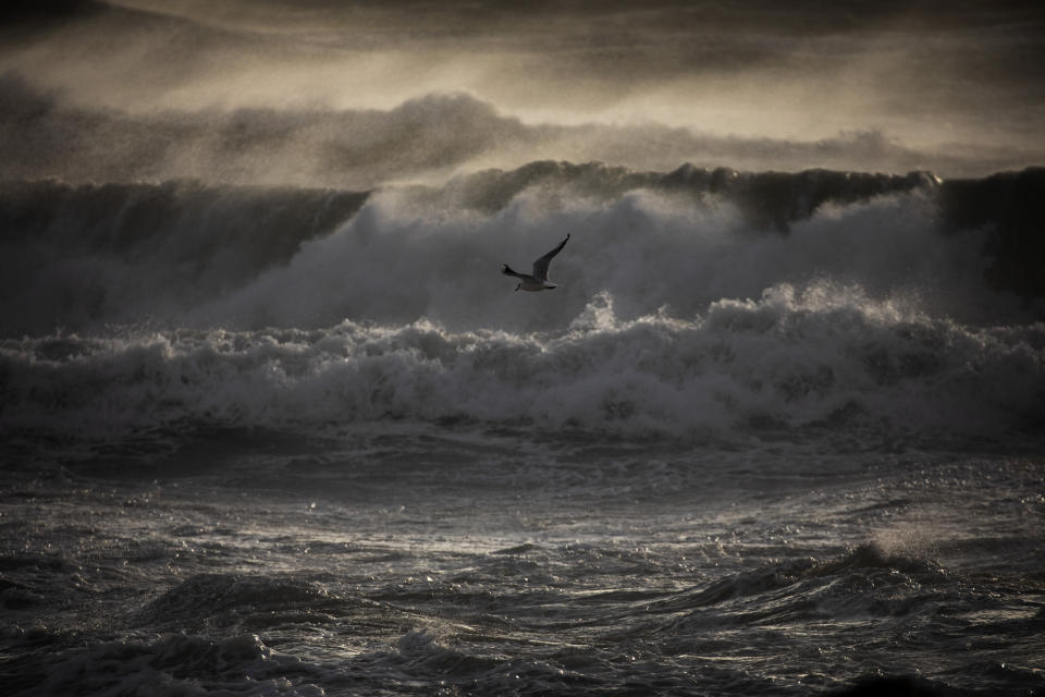 Una gaviota vuelta sobre el Mar Mediterráneo durante un temporal en Barcelona, España, el lunes 20 de enero 2020. (AP Foto/Emilio Morenatti)