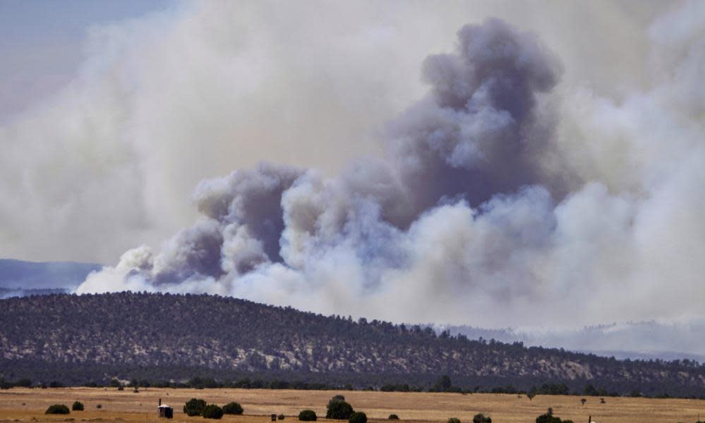 <span>Photograph: Roberto E Rosales/AP</span>