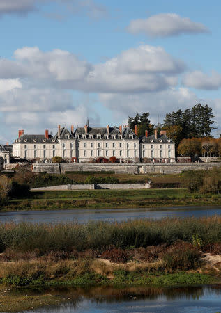 A general view shows the Chateau de Menars on the banks of the River Loire in Menars, France, November 6, 2017. REUTERS/Gonzalo Fuentes