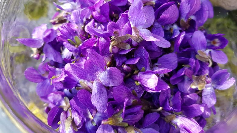 violet petals in a bowl