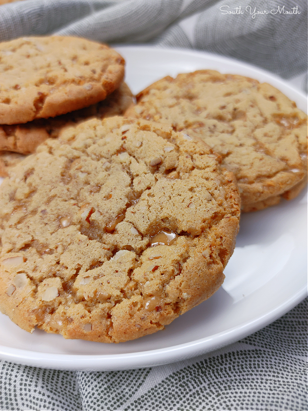 <p>South Your Mouth</p><p>These chewy delights have brown sugar and toffee bits that double down on rich butterscotch flavor. Chopped pecans add crunch. Serve them alongside tea or coffee.</p><p><strong>Get the recipe: <a href="https://www.southyourmouth.com/2021/08/butterscotch-crunch-cookies.html" rel="nofollow noopener" target="_blank" data-ylk="slk:Butterscotch Crunch Cookies;elm:context_link;itc:0;sec:content-canvas" class="link ">Butterscotch Crunch Cookies</a></strong></p><p><strong>Related: <a href="https://parade.com/1354612/elizabethnarins/types-of-cookies/" rel="nofollow noopener" target="_blank" data-ylk="slk:30 Different Types of Cookies;elm:context_link;itc:0;sec:content-canvas" class="link ">30 Different Types of Cookies</a></strong></p>