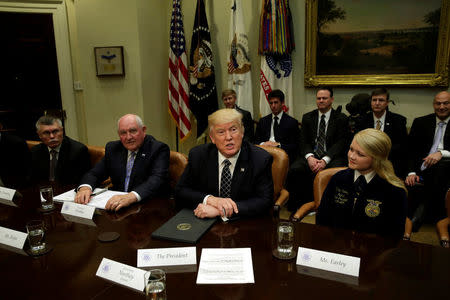 U.S. President Donald Trump talks to the media during a roundtable discussion with farmers at the White House in Washington, U.S. April 25, 2017. REUTERS/Yuri Gripas