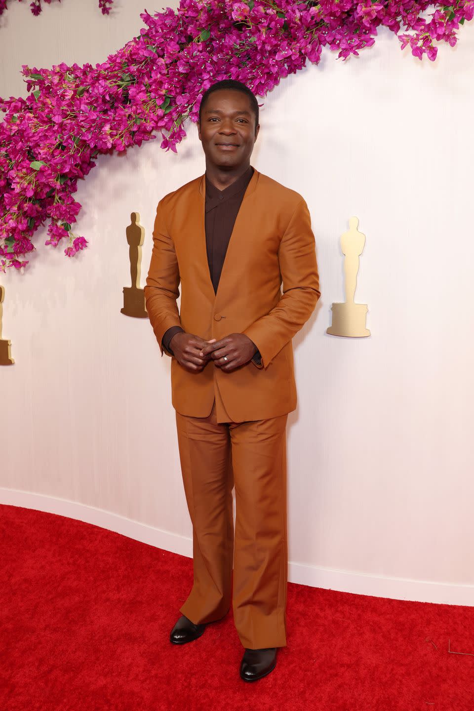 hollywood, california march 10 david oyelowo attends the 96th annual academy awards on march 10, 2024 in hollywood, california photo by jc oliveragetty images