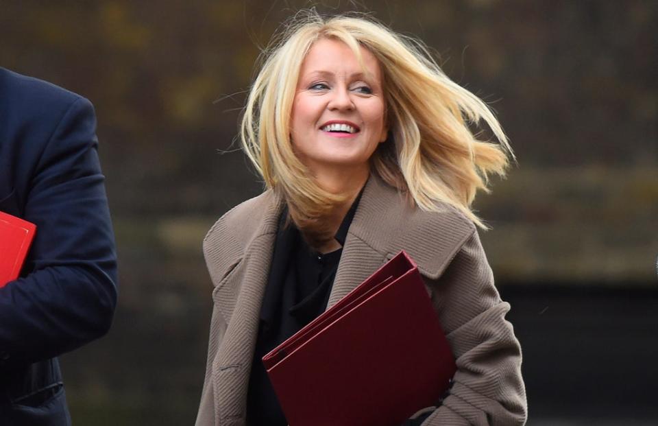 Tory MP Esther McVey  (Getty Images)