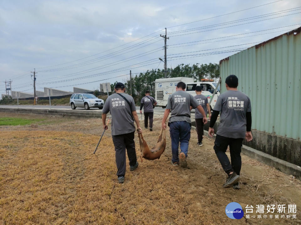 嘉義縣海區東石、布袋和義竹公所將設立專人專線，方便民眾通報與精準處置遊蕩犬問題／嘉義縣府提供