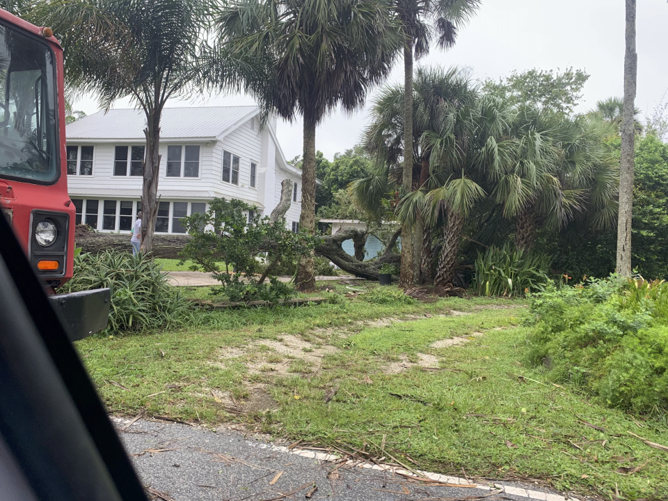 Tree branches fall to the winds from Hurricane Ian on Rockledge Drive.