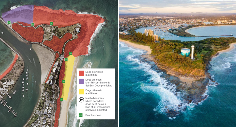 The Sunshine Coast Council's map for dog rules in Point Cartwright on left. Image of Point Cartwright's lighthouse on right.