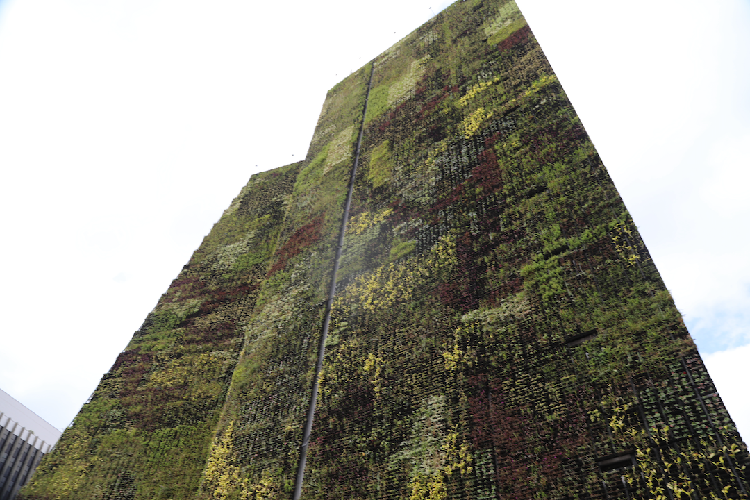 vertical wall garden at city hall in Medellin, Colombia