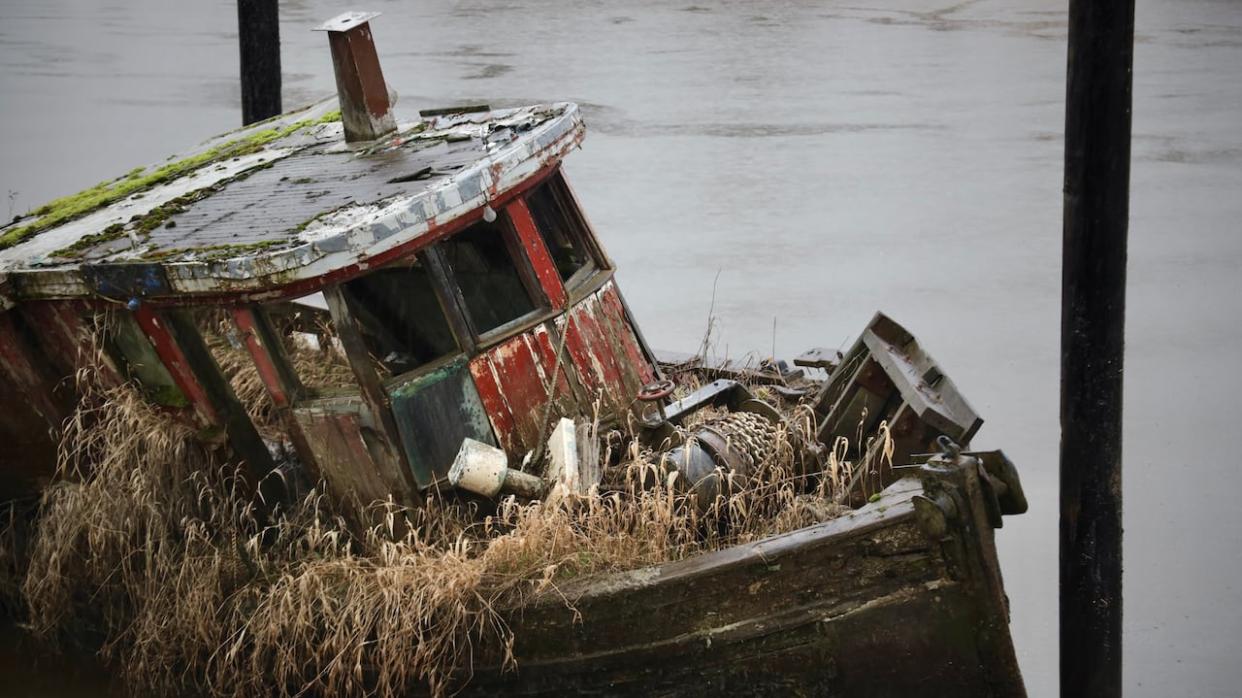 An old wooden fishing boat is one of the final derelict vessels to be removed from the lower Alouette River during a cleanup effort taking place this week. (Rafferty Baker/CBC - image credit)