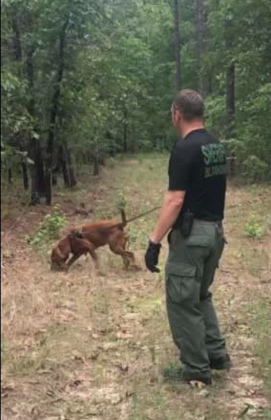 In this file photo, a Chesterfield County Sheriff’s Office deputy and the department's dog, "Lillie," search a wooded area.