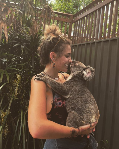 Paris appears to enjoy the local wildlife, pictured here cuddling a koala. Source: Instagram