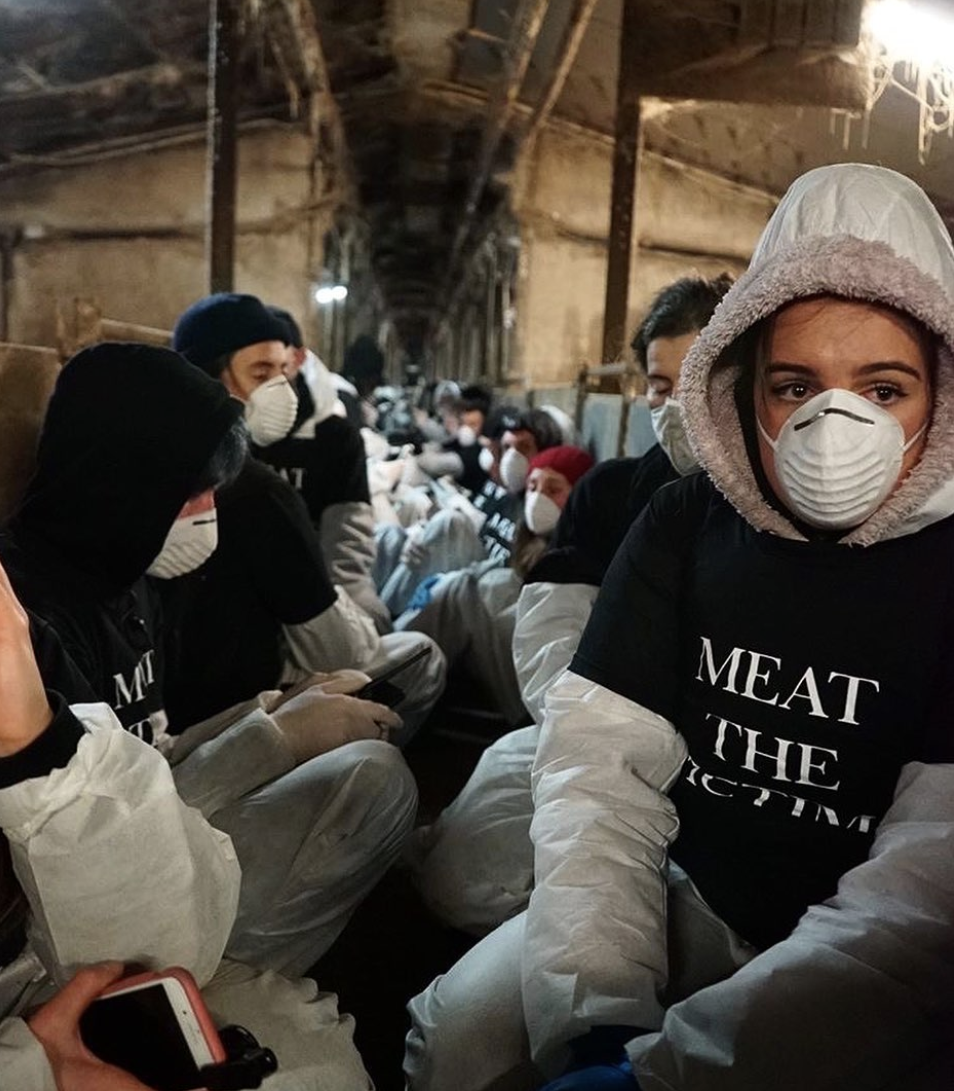 Meat the Victims activists. Source: Instagram