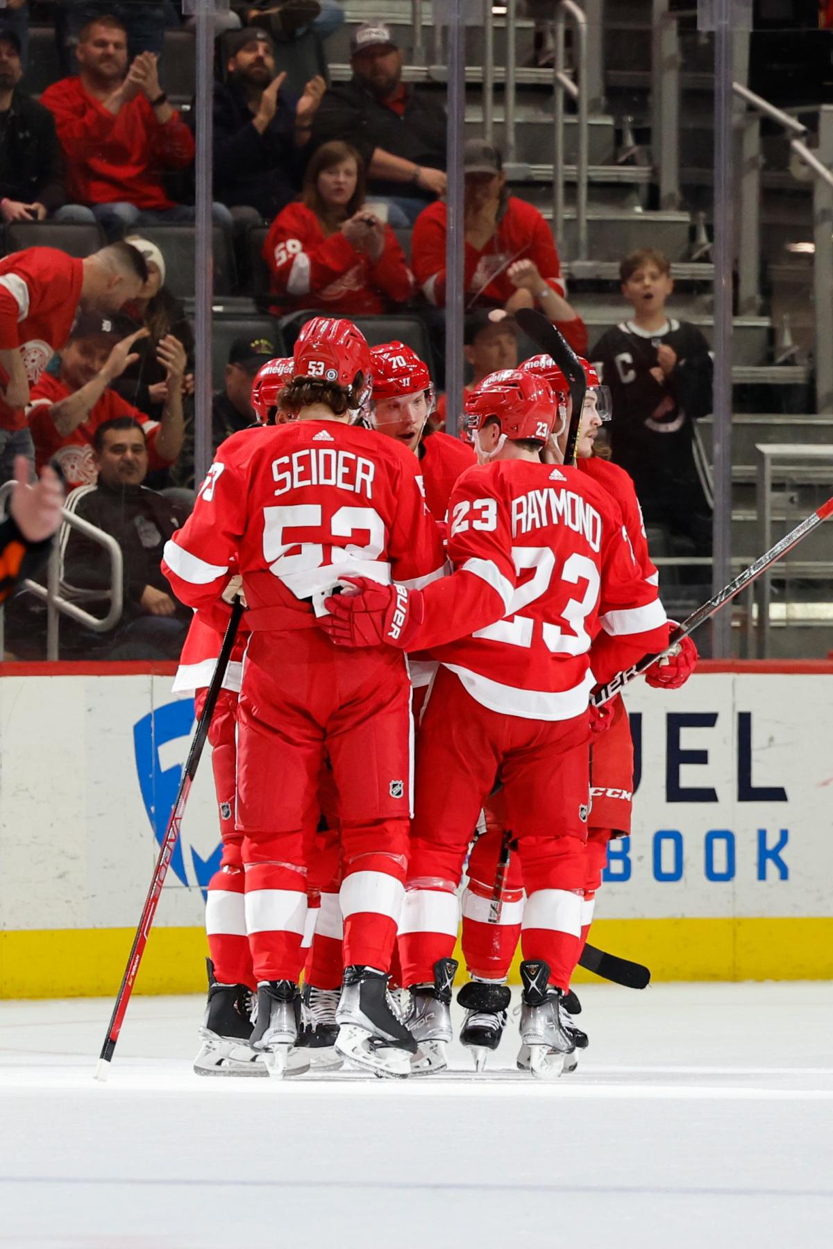 Detroit Red Wings' goal in last home game Give fans 'something to cheer'