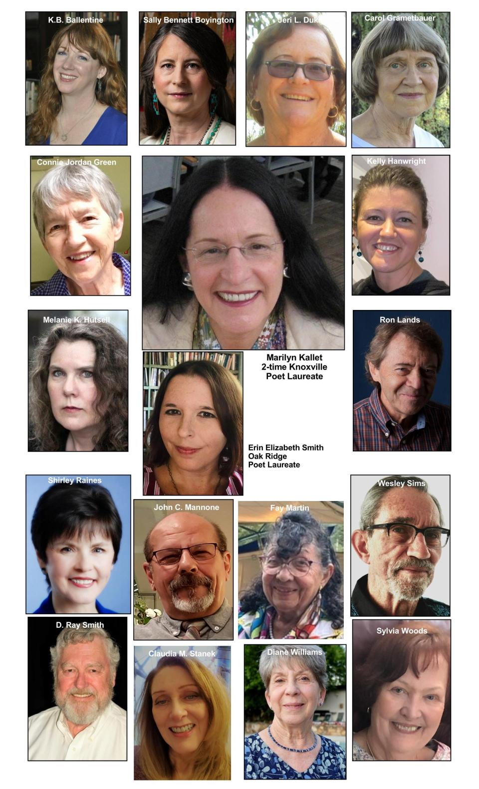 Eighteen authors will be reading and selling their books at an event at the Oak Ridge Public Library Saturday.