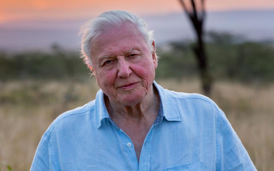 Sir David Attenborough