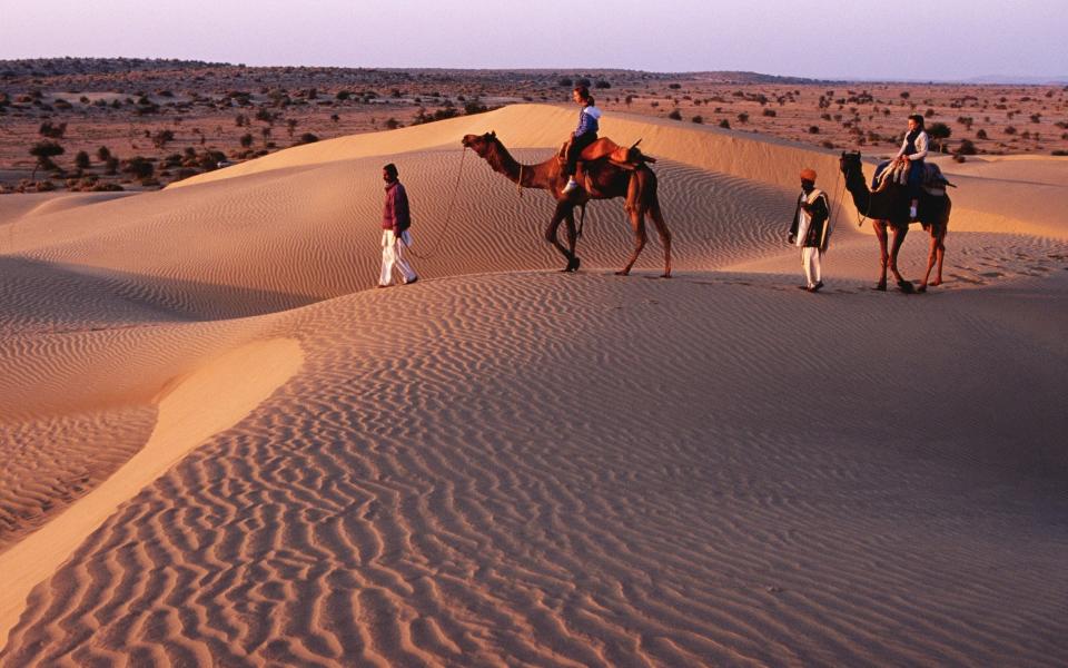 camel rides desert india holidays - Getty